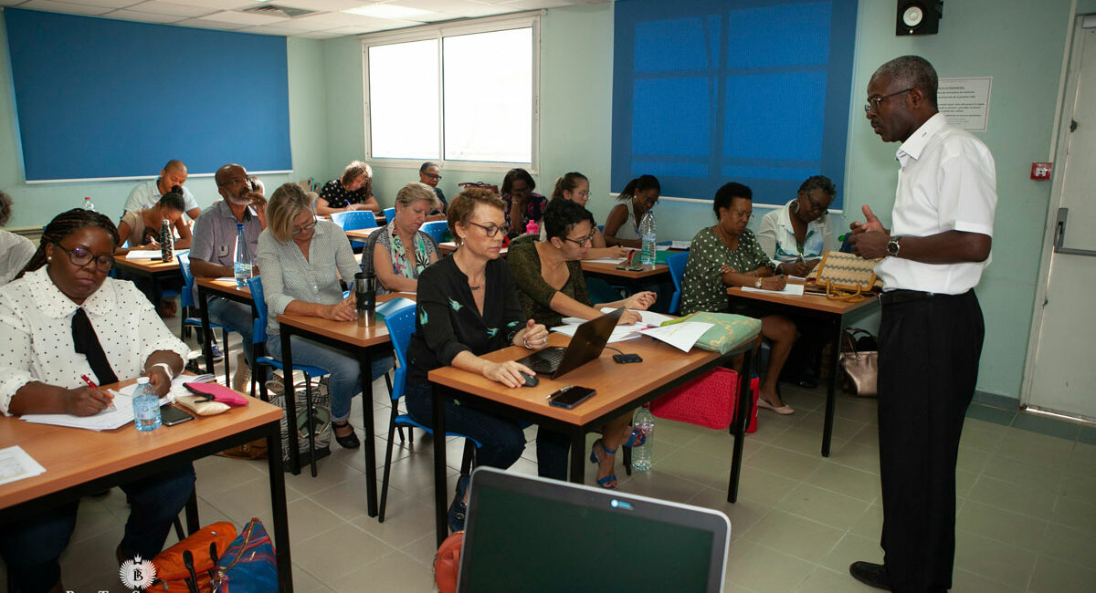 Diplôme universitaire éthique de santé 2019 EREGIN - Formation en groupe entre professionnels de la santé en Guadeloupe